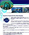 aquarium-tropical-pierrefitte
